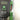 ACCU-CULL Digital Scales - Lake Fork Lure Co.