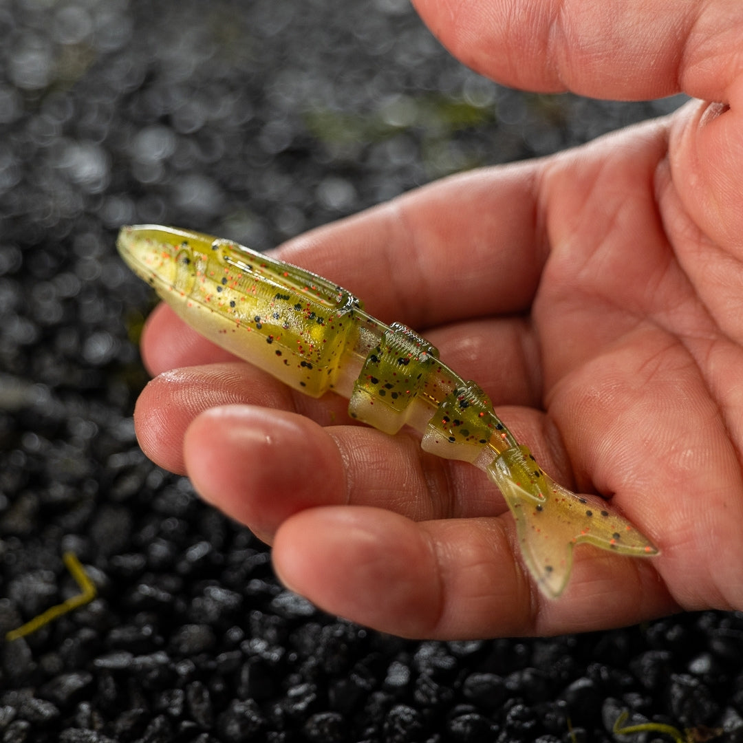 Live Magic Shad V-Tail