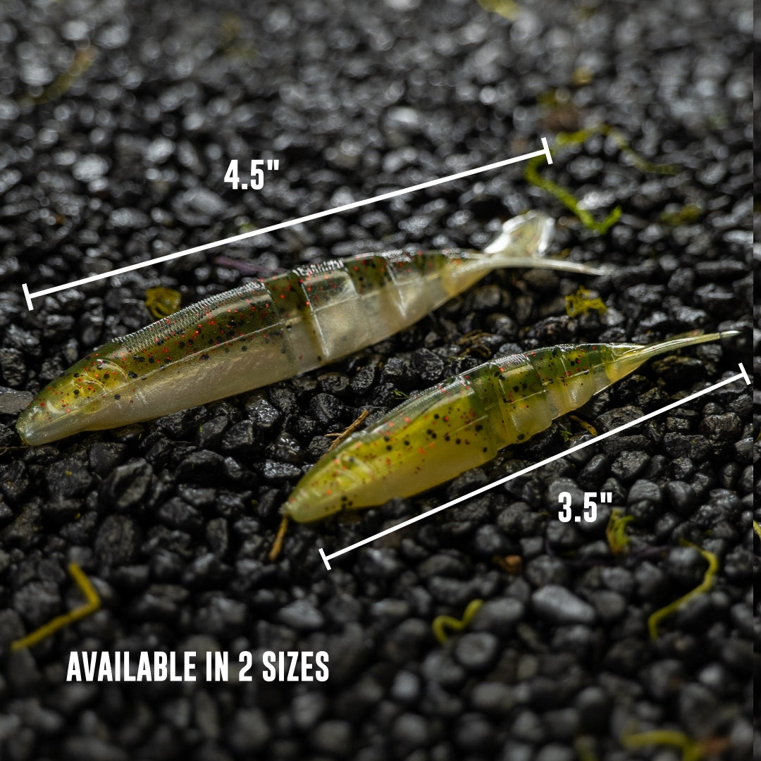 Live Magic Shad V-Tail