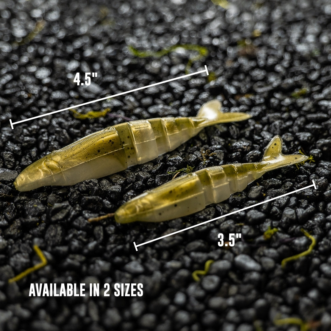 Live Magic Shad V-Tail
