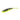 Live Magic Minnow - Lake Fork Lure Co.